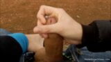 Cute girl sucks her boyfriend’s cock at the park snapshot 3