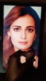 Dia Mirza Cum Facial snapshot 6