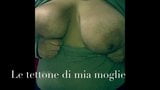 Mia moglie agita le tettone snapshot 2