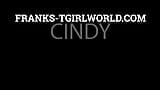 Franks-Tgirlworld: эротическое удовольствие Cindy! snapshot 1