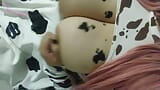 Moooooo, eu sou uma vaca snapshot 10