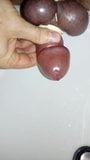 Testicoli legati e creampie snapshot 10