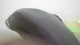 Big black cock Big dick hot snapshot 1