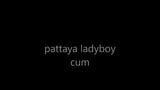 pattaya ladyboy snapshot 1
