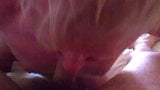 Licking Cum From a Leaking Cock While It's Still Cumming snapshot 1