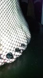 Nylon Fetish Cock Cum on Fishnet Feets snapshot 1