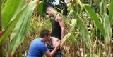 outdoor gays hard cock sucking snapshot 1