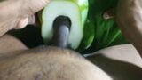 Indian Big Dick Fucking Papaya snapshot 12