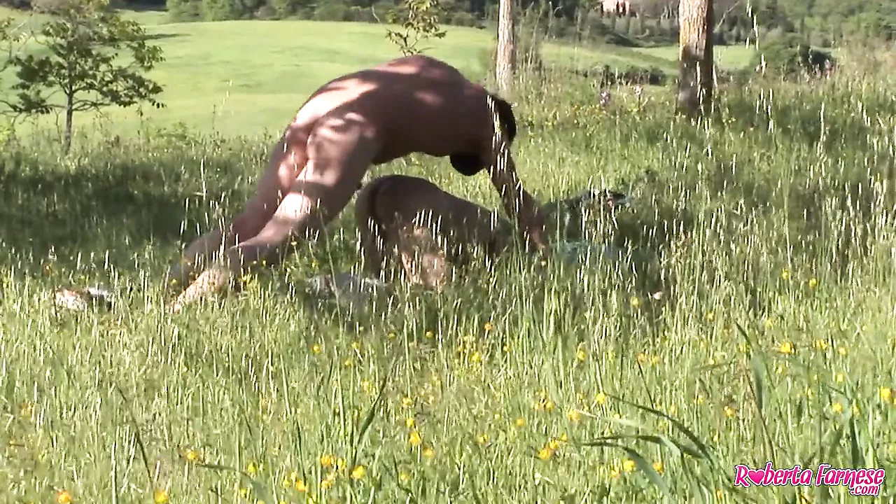 Un guardone scopre una coppia che scopa in un parco | xHamster