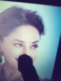 Madhuri Dixit Cum Facial Tribute snapshot 2