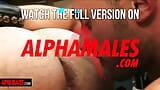 Alphamales.com - тройничок в магазине гей-кожи snapshot 8