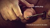 Pene penetrato - cavalca le pecore fino all'orgasmo snapshot 1