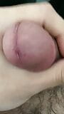 Paja mucho semen snapshot 6