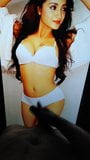 Trisha Krishnan cumtribute bedekt met een enorme lading cumshots snapshot 10