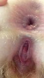 playing with my beautiful butthole you like snapshot 8