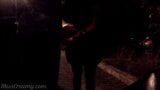 ディック・フラッシュ-女の子が路上でオナニーをしているのを見つけてザーメンを助けた snapshot 8
