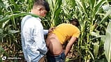 Indiano gay - hoje eu vi um universitário e professor universitário em um campo de milho snapshot 7