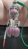 Locktober cum from cbt estim in chastity and ball cage snapshot 3