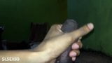 Srilankan gf dando hanjob snapshot 1