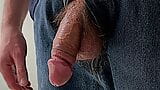 Semi Hard Cock Hanging out of Jeans snapshot 4