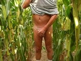 wanking in the corn field snapshot 5