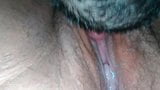 Licking Pussy snapshot 4