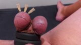 Testicle Skewering CBT, Edging & Cumshot with 3 Needles, Precum & Stretched Balls snapshot 3