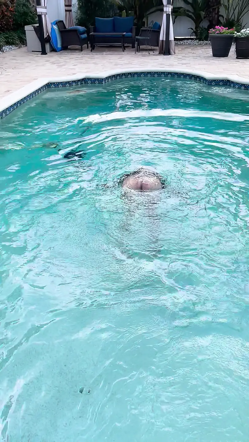 Morning is for a Naked Swim and Stroking: Gay Bear Porn