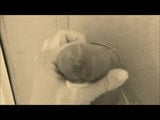 Домашняя дрочка у глорихола с большим камшотом в домашнем видео snapshot 7