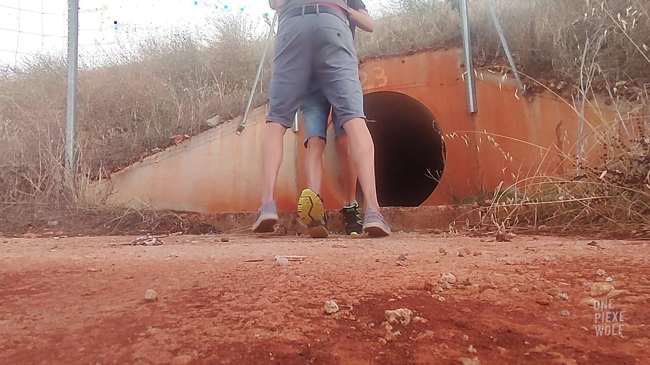 O caroneiro