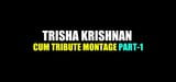 Trisha Krishnan e montaggio omaggio, parte 1 snapshot 1