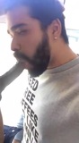 A great bearded sucker snapshot 3