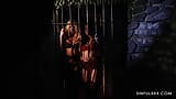 Ultimate Dungeon Fantasy behind bars by SinfulXXX snapshot 9