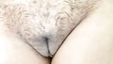 Desi Indian hairy pussy snapshot 12