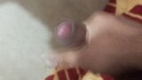 Asian cock roughly masturbation snapshot 2