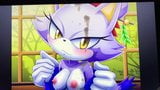 SOP Tribute - Blaze the Cat snapshot 4