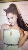 Penghormatan Ariana Grande 3 snapshot 1