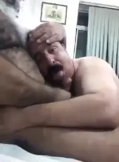 Pakistani Grandpa: Gay Bear Bear Porn | xHamster