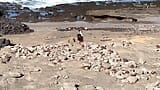 Khỏa thân thổi kèn trên bãi biển: Tôi cho một con cu cứng của tôi cho một con điếm yêu cầu tôi thổi kèn và xuất tinh vào miệng cô ấy. snapshot 3