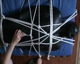 Grey and white - Slave is in the neoprene bodybag snapshot 8