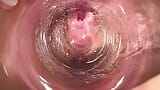 Camera deep inside Mia's tight vagina, the creamiest pussy ever snapshot 4