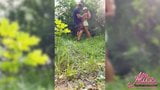 Isteri berkongkek doggy dan menghisap mendalam di dalam hutan - pancutan ke dalam snapshot 2