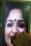 Kavya madhavan mallu 辣妈鸡巴致敬 snapshot 10