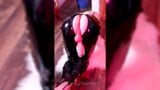 Leather pants femboy plays with dildo snapshot 6