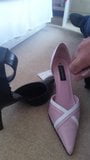 Aunts shoes snapshot 1