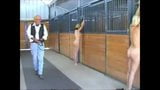 Two Naked Blonds Bullwhipped in A Barn snapshot 4