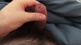 Teasing my hairy cock in the morning snapshot 3