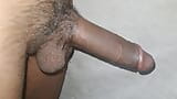 Desi Indian Boy Showing his Big Dick in Public. snapshot 10