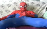 Spiderman snapshot 10