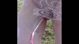 Transgender travesti klingt Dessous anal im Freien 38 snapshot 11